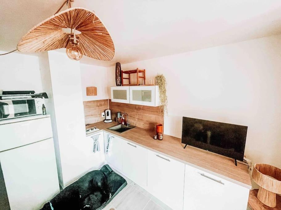 La Casita ,Appartement Face A L'Etang Le Barcares Ngoại thất bức ảnh